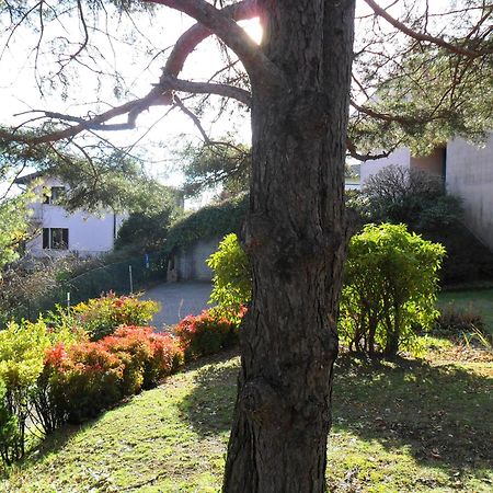 I Tre Faggi Apartment Albese Con Cassano Luaran gambar